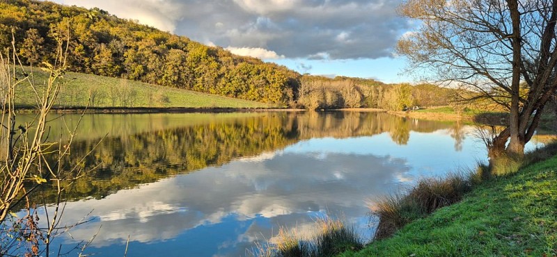 Lac de talives Foulayronnes 01122025 (3)