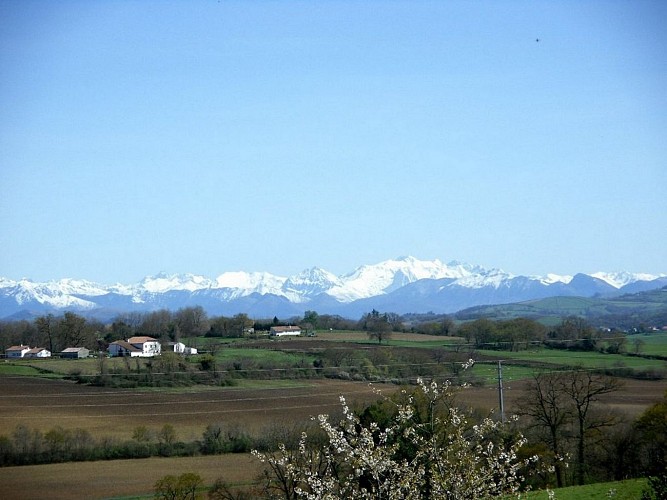 Chambres d'hôtes Etxebestia - 64120 Gabat (1)