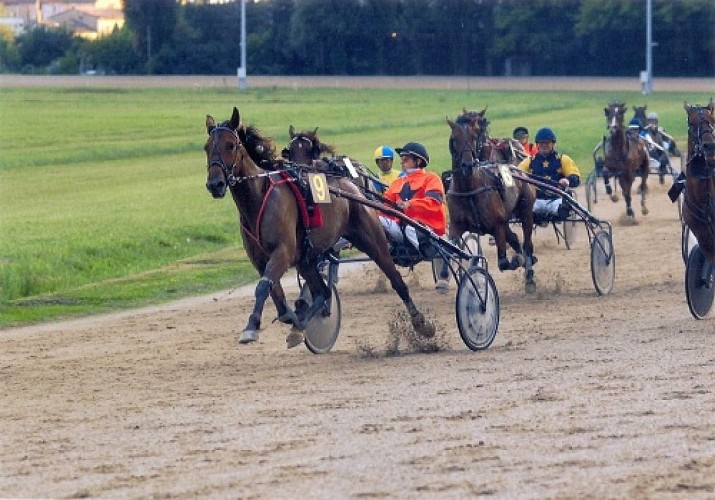 OT VILLEREAL - Courses hippiques - chevaux