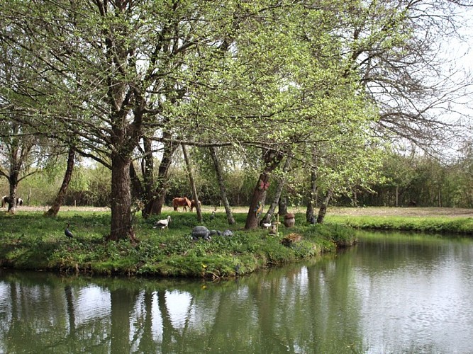 Lac_guitard_ilot_avril_2021