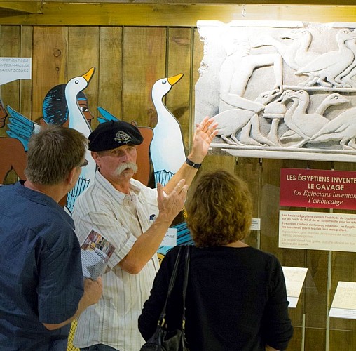 musee foie gras (2)