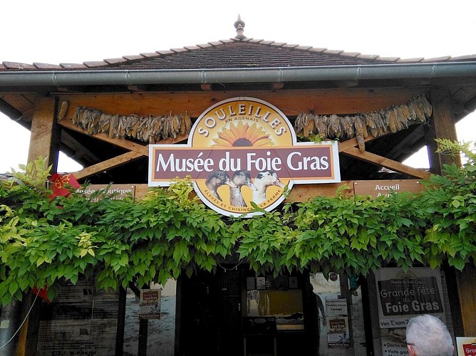 musee foie gras (1)