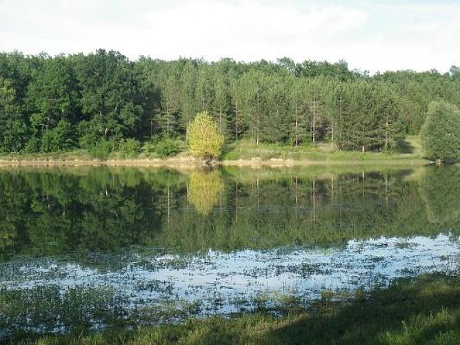st-colomb-de-lauzun-lac-des-graoussettes