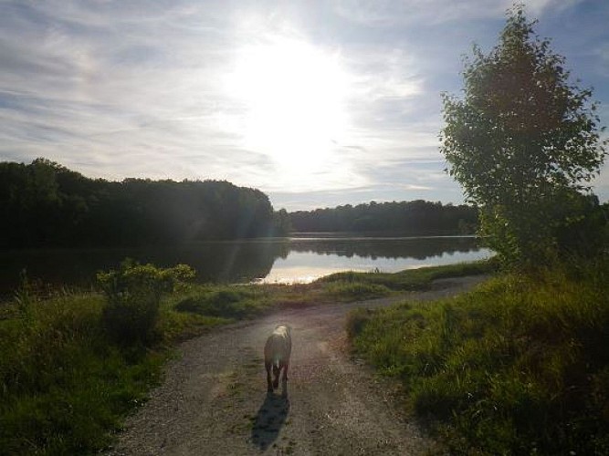 st-colomb-de-lauzun-lac-des-graoussettes-credit-s-marty-chien