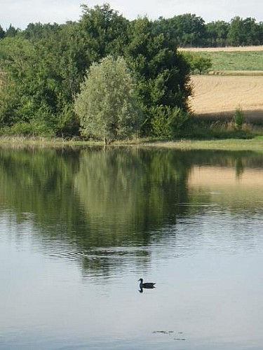 st-colomb-de-lauzun-lac-des-graoussttes-crecit-s-marty