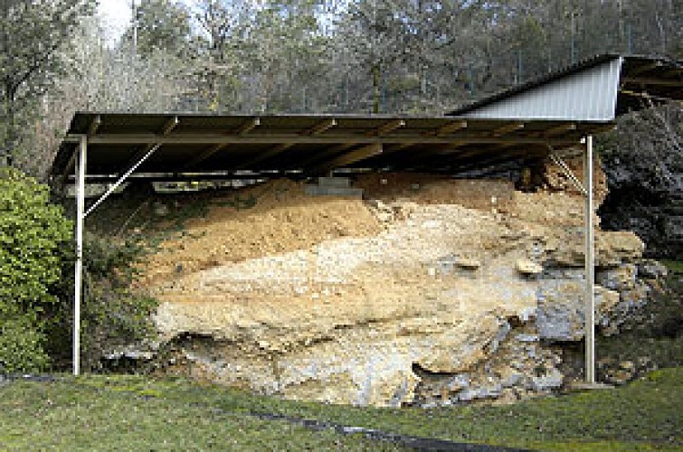 Gisement de La Micoque