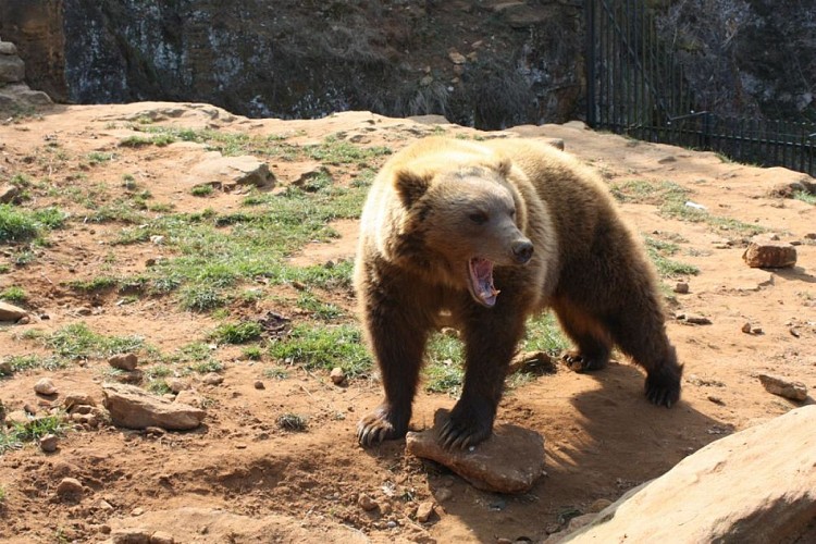 78f910fa7f40211e2ab02b0b9fc1c2dd