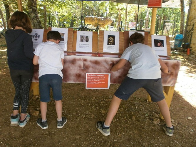 PCU_Le Regourdou_activités_Montignac_Mars 2022©Michèle Constant 4