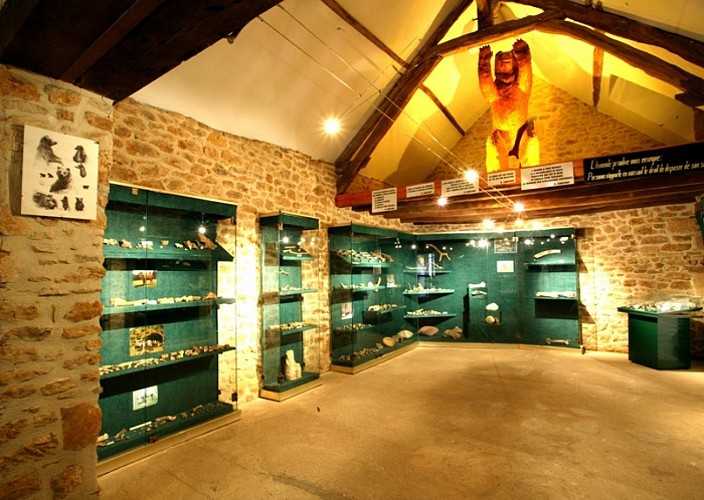 d747cb5f275ec95402997eab7b8a09fc