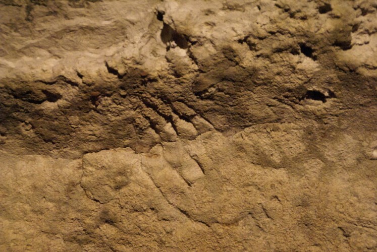 grottedebarabahau1_mouligné