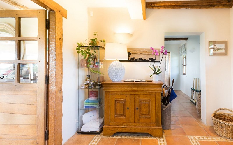 tamarin-146-1440x900