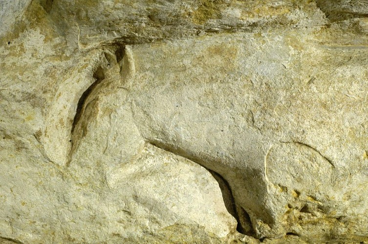 Abri du Cap Blance