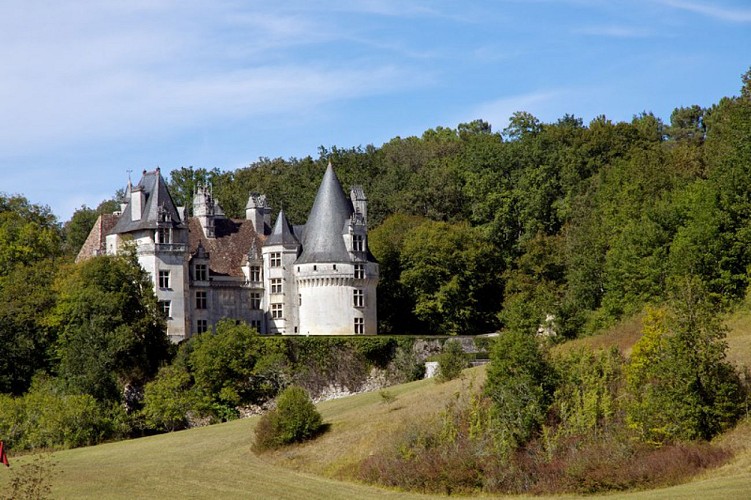 Château de Puyguilhem_2