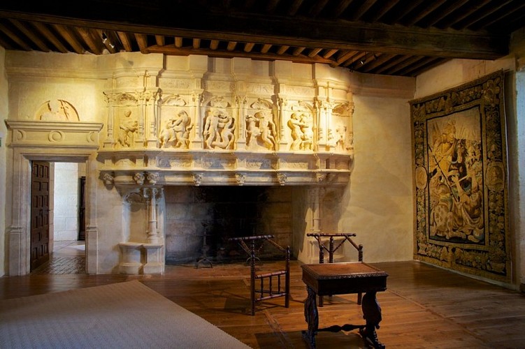 Château de Puyguilhem