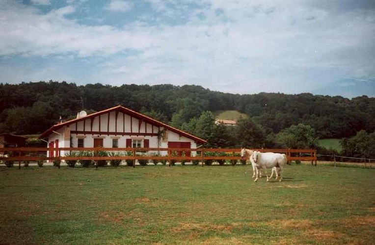 peloffi_larrexola_maison_3