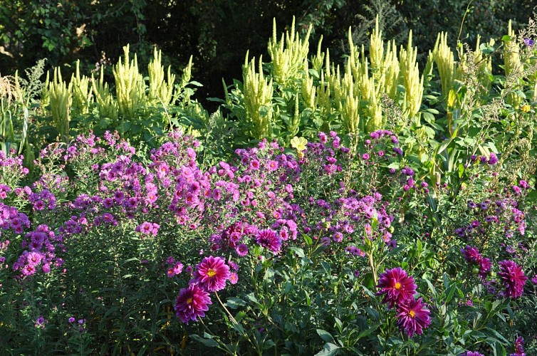 Jardins de l'Albarède    (11)