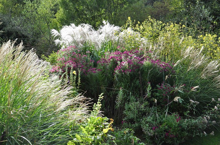Jardins de l'Albarède (13)