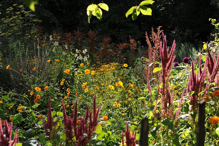Jardins de l'Albarède (12)