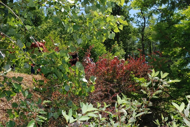 Arboretum Pouyouleix ©Photoc (1)