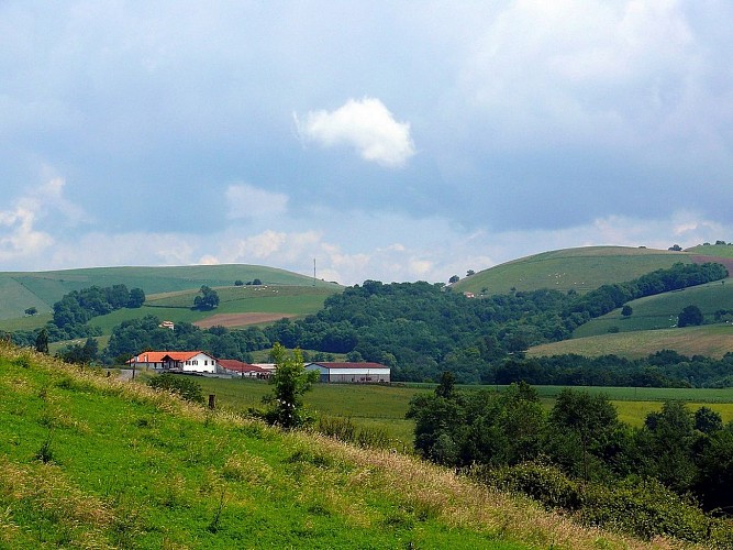 Chambres d'hôtes Arlania 64120 - Juxue (11)