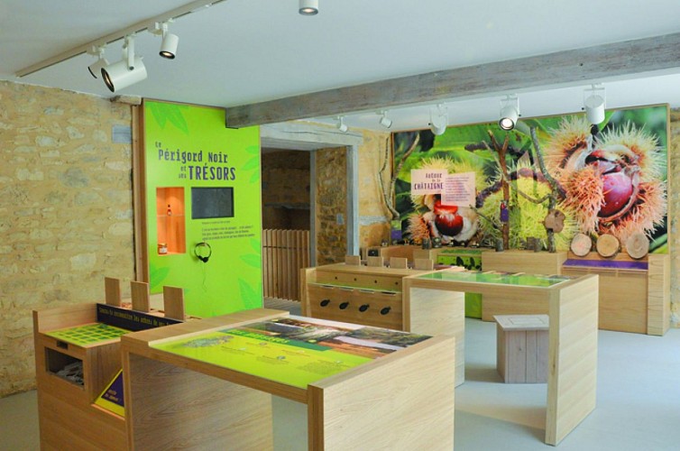 Maison de la Chataigne salle 4 Office de Tourisme du Pays du Chataignier