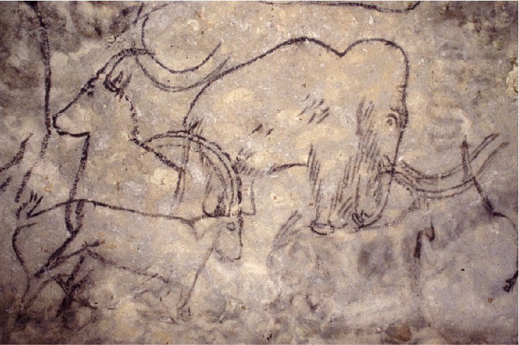 grottederouffignac2_plassard