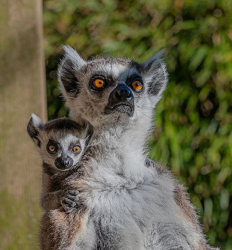 Screenshot_2025-03-30-21-15-09-586_com.miui.gallery-edit