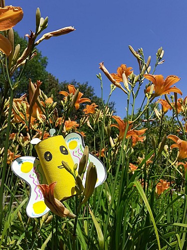 papillon-jardin-parcot-echourgnac