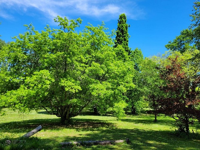 parc-botanique-neuvic-2023 (27)