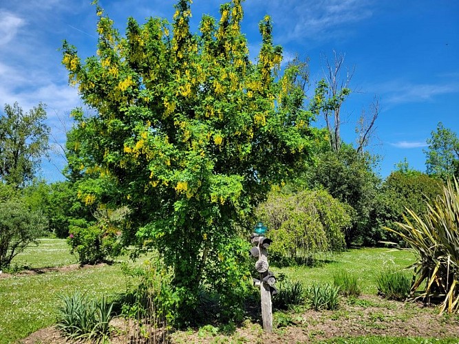 parc-botanique-neuvic-2023 (22)
