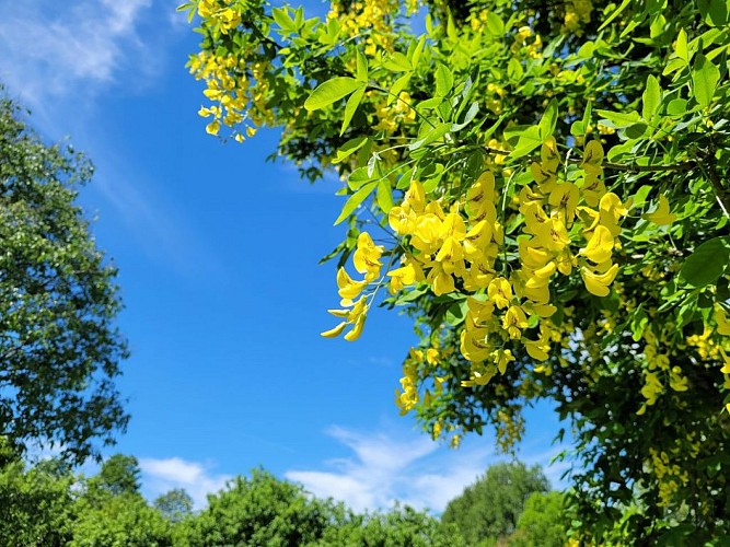 parc-botanique-neuvic