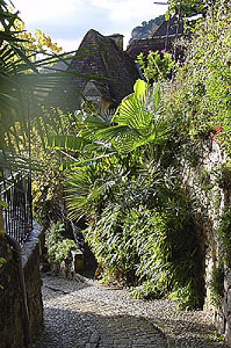 La Roque Gageac - Jardin exotique