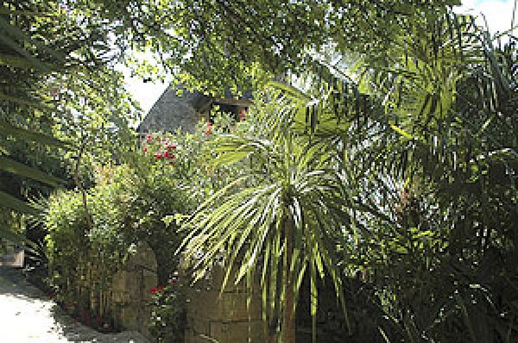 La Roque Gageac - Jardin exotique