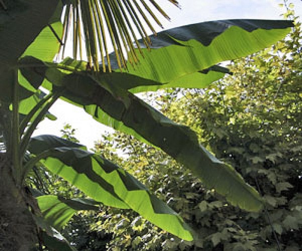 Jardin exotique de La Roque Gageac