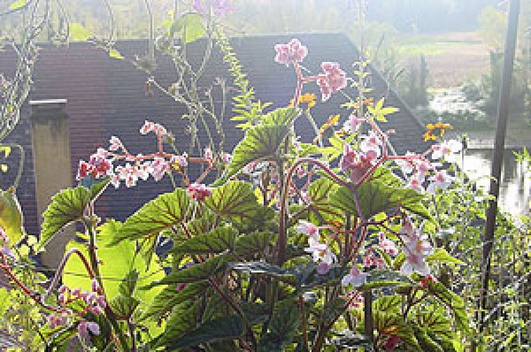 Jardin exotique de La Roque Gageac