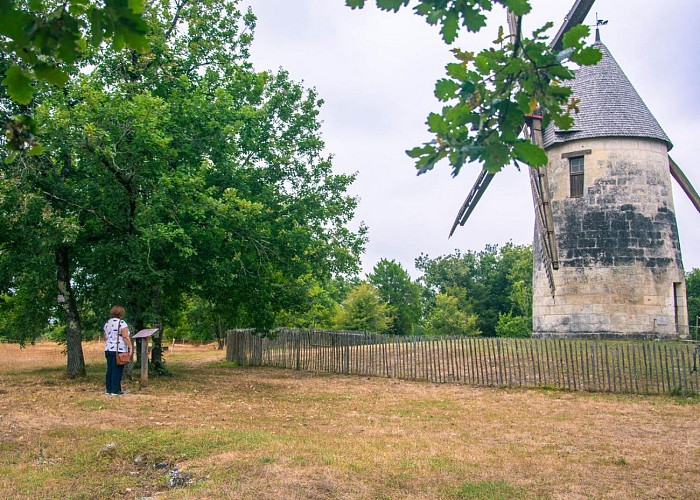 Moulin des Terres Blanches 4
