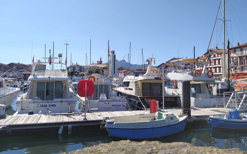 IMG_20200827_113809 1440X900