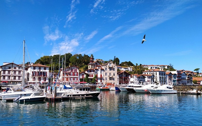 IMG_20200827_115006 1440x900