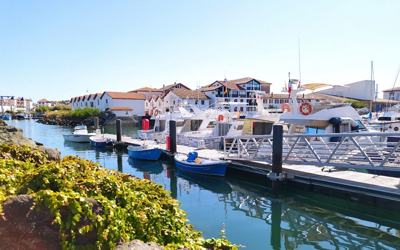 IMG_20200827_113947 14409X00