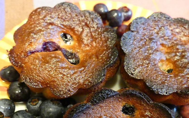 Brunet Chambre d'Hôtes 4