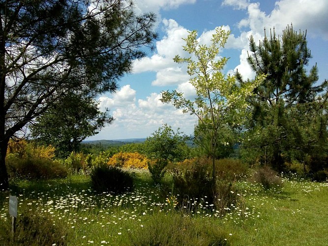 PCU-Jardins-de-Haute-Terre--8-