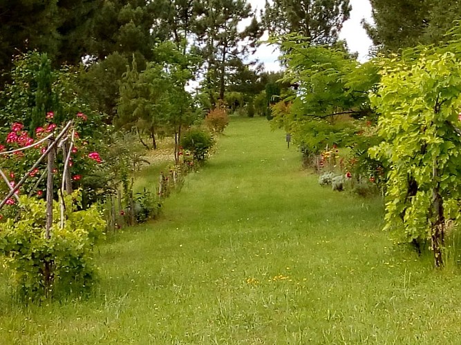 PCU-Jardins-de-Haute-Terre--3-