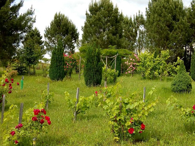 PCU-Jardins-de-Haute-Terre--2-