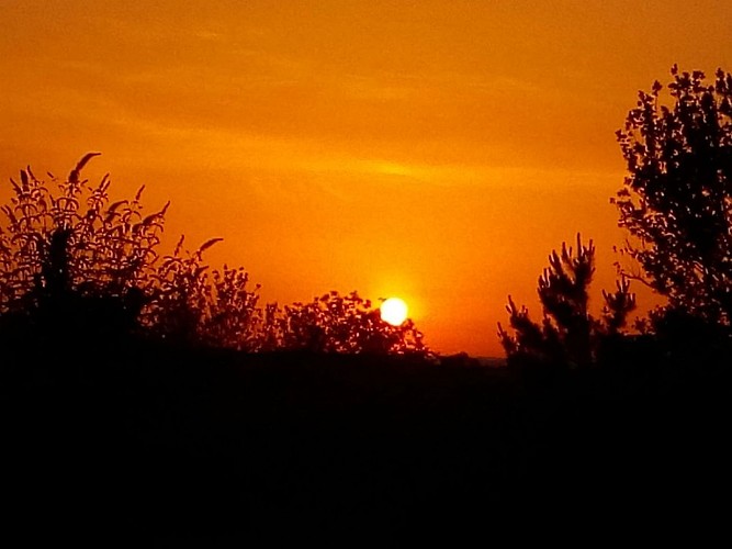 PCU-Jardins-de-Haute-Terre--10-