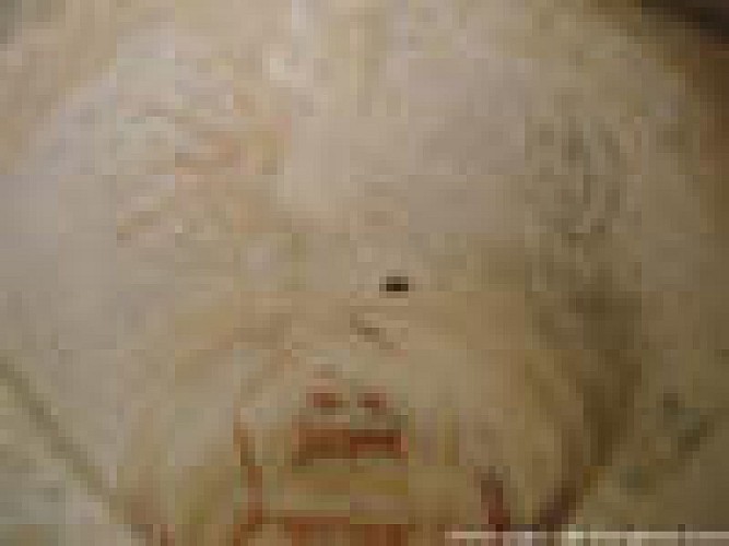 eglise-montferrand-perigord6