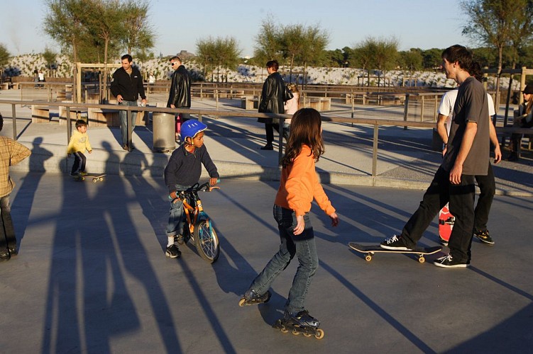 Skatepark de La Barre