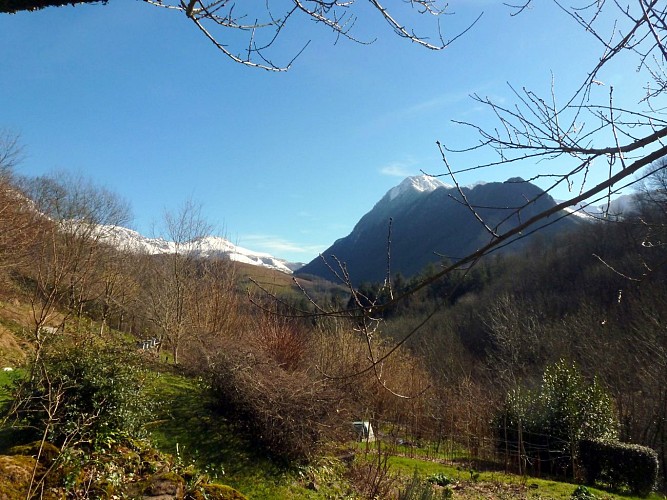 Maison-Lassalette---Jardin---ASASP-ARROS----CHIGNARD-JOCELYNE----DI