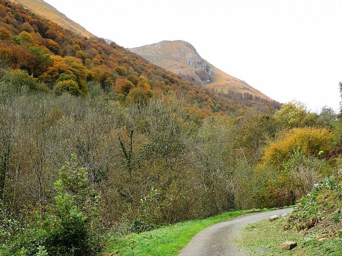 Maison-Lassalette-Vue-ASASP-ARROS-CHIGNARD-JOCELYNE-DI