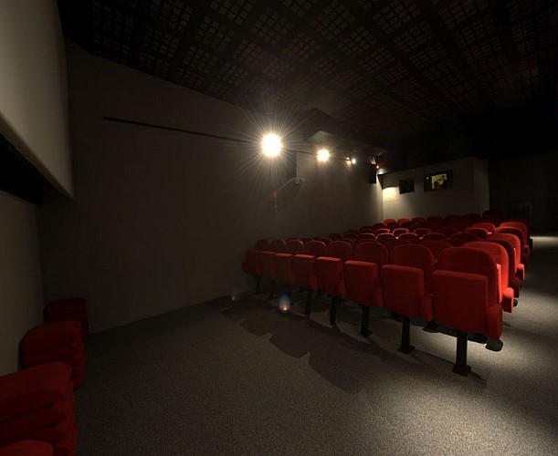 Cinéma le Royal - Biarritz - Salle 1