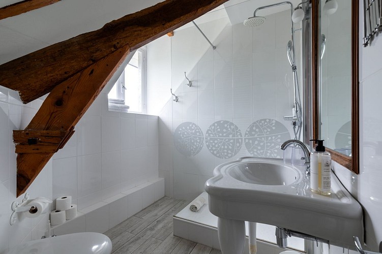 Jade- Grand Format (2) Salle de Bain chambre 1